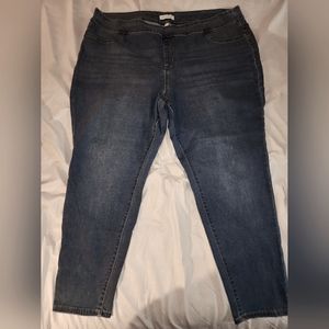 Lane bryant skinny jeans size 26